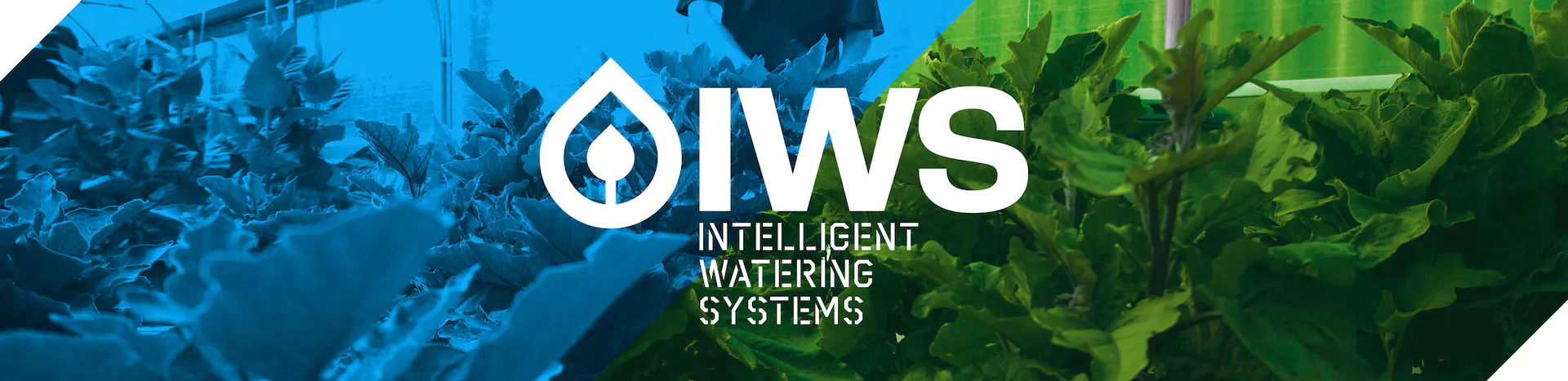 IWS